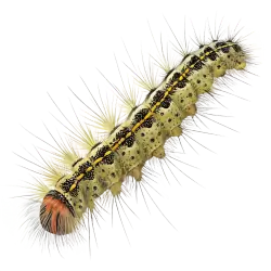 Imagen PNG para descargar